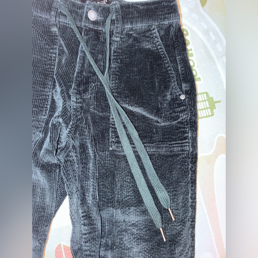 JUDY BLUE VELVET ECLIPSE HIGH RISE CORDUROY JOGGER in emerald - Picture 8 of 9
